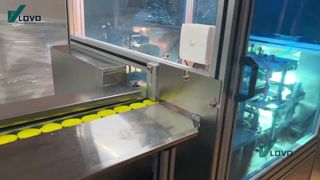 Blue Bubble Packaging Machine