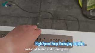Customized Bar Soap Production Line/Cutting Machine for a Client in the DRC