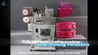Soap Cutting / Stamping Machine